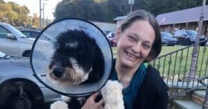 Patches Rachelle Obituary, Ford Accident Death
